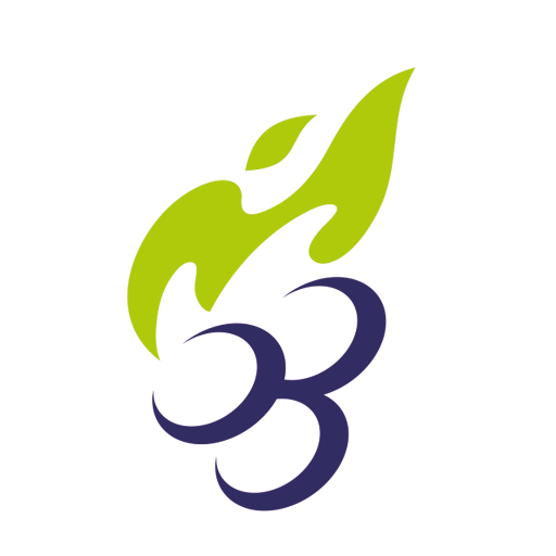 Vine Christian Academy Logo