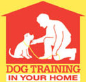 Dog Training In Your Home