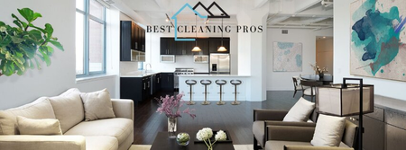 Best Cleaning Pros