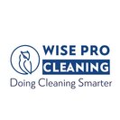 WISE PRO CLEANING