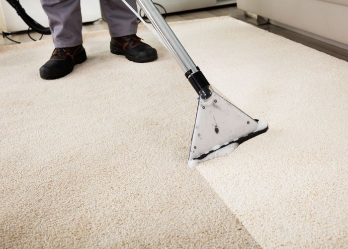 Https://carpetcleanersrhodeisland.com/ Logo