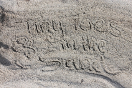 Tiny Toes In The Sand Logo