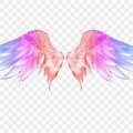 Sparkling Angels Homecare Llc Logo