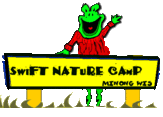 Swift Nature Camp Logo