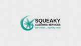 Squeaky Cleaning Services