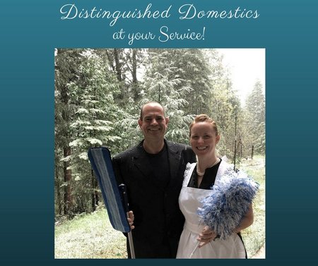 Distinguished Domestics Cleaning Services