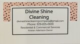 Divine Shine Cleaning