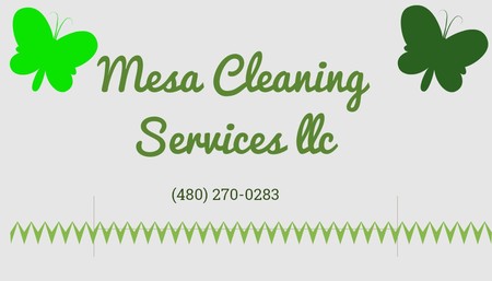 MESA CLEANING SERVICES LLC