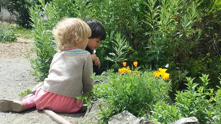 Birdsong Outdoor School