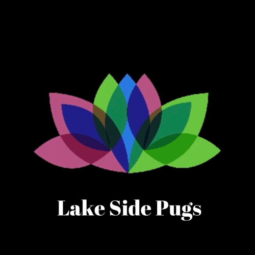 Lake Side Pugs Logo