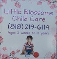 Little Blossoms Child Care