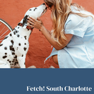 Fetch! Pet Care South Charlotte