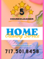 FiveStarHouseCleaner