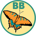 Belvoir Butterflies