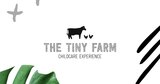 The Tiny Farm Childcare Experience Llc