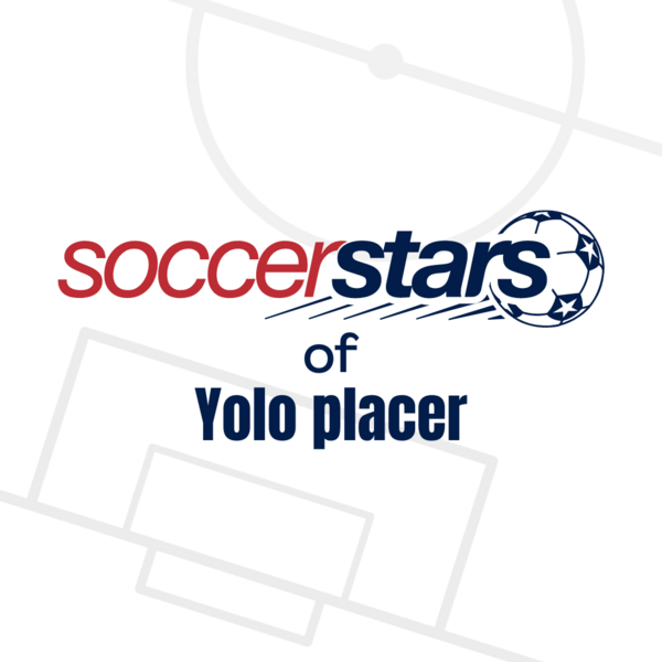 Super Soccer Stars Logo