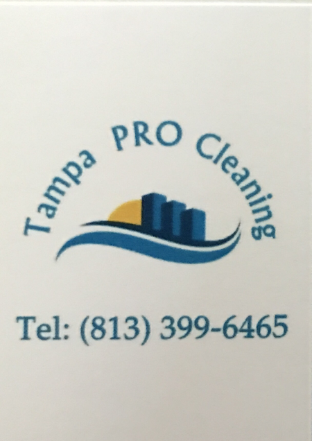 Tampa Pro Cleaning