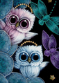 Dragonflies, Orchids, and 8 Owls
