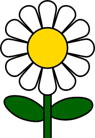 Daisy Family Daycare Logo