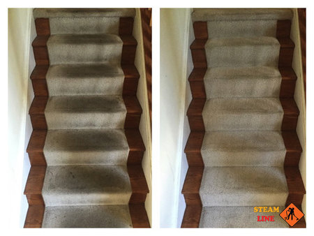 SteamLine Carpet Cleaning Restoration