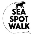 Sea Spot Walk, LLC.