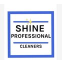 Shine Professional Cleaner