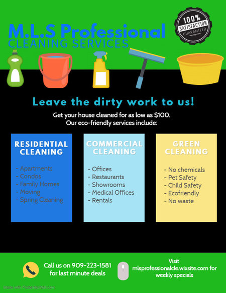 M.L.S. Professional Cleaning Services