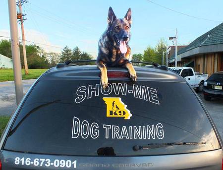 Show Me K-9 Dog Training