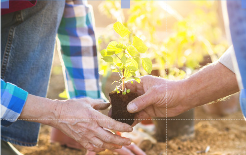 Hands That Help & Pray In-home Care Services Logo