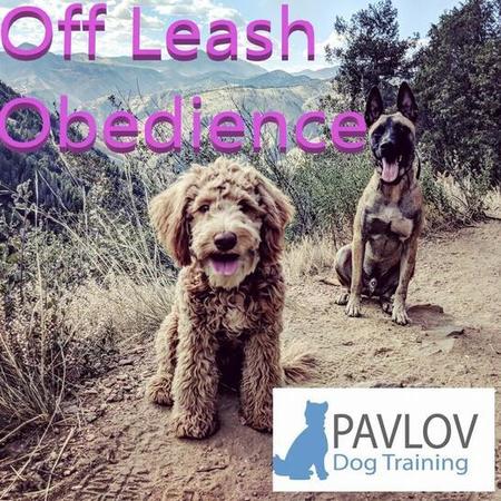 PAVLOV Dog Training Portland