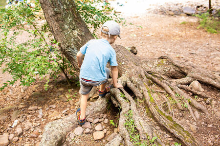 Fern Hollow Forest School