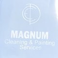 Magnum  Cleaning  &  Painting
