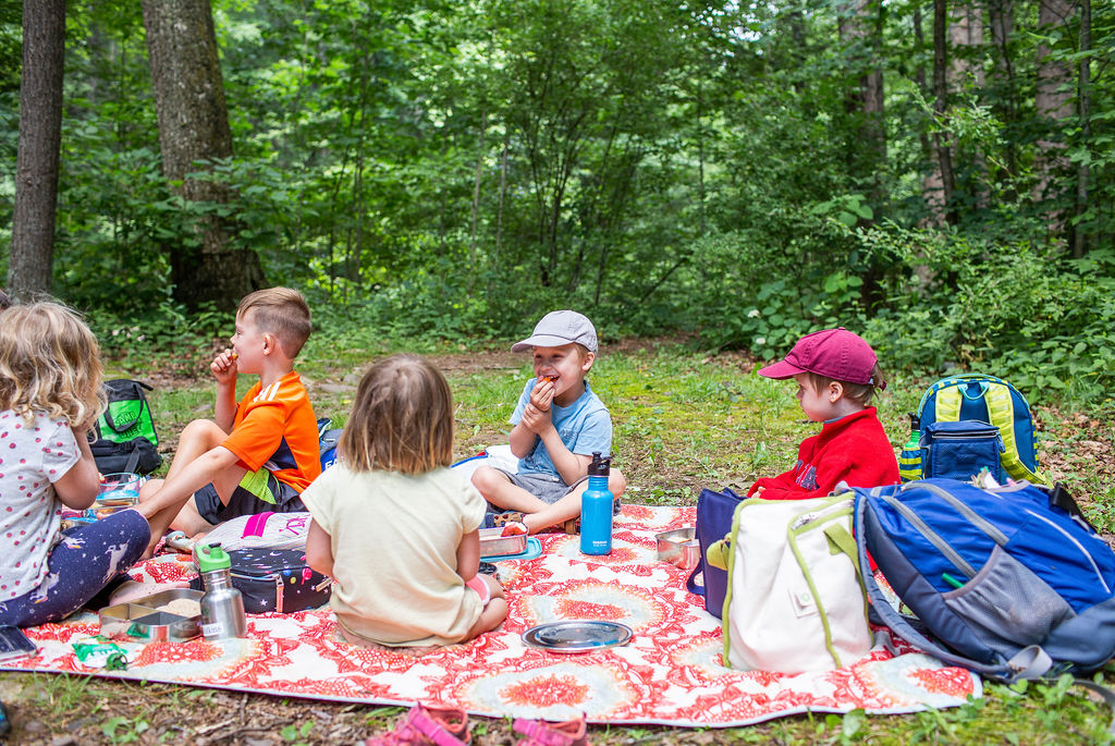 Fern Hollow Forest School Logo