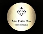 Peine's Pristine Clean