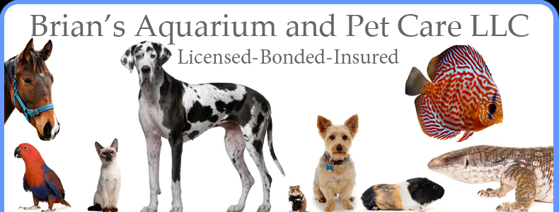 Brian's Aquarium And Pet Care Llc Logo