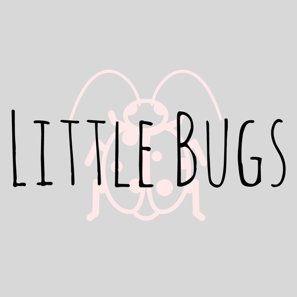 Little Bugs Family Child Care Logo