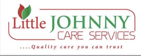 Little Johnny Care Services Llc