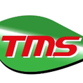 TMS America