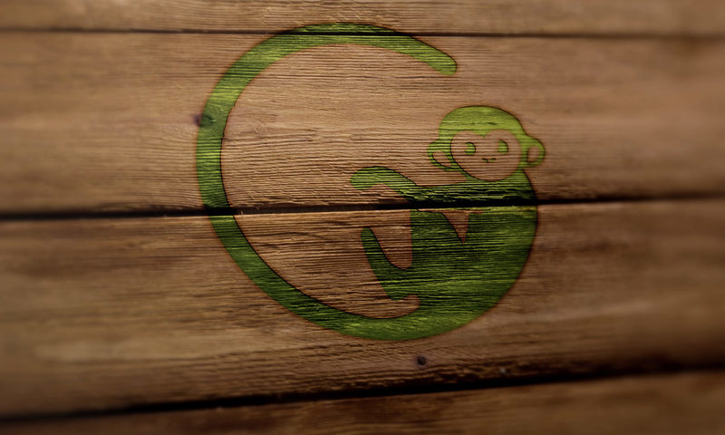 Green Monkey Daycare Logo