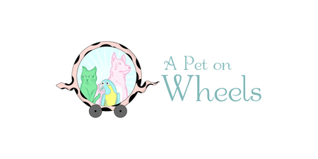 A Pet On Wheels