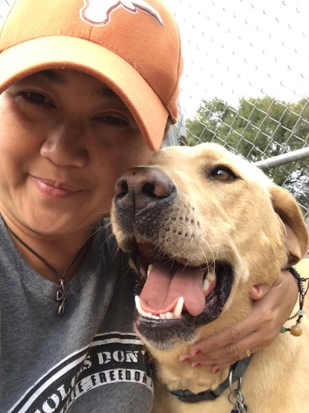 Missy Liu's B&B - Boarding, Daycare, Grooming