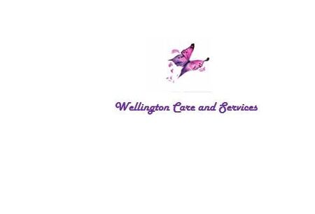 WELLINGTON CARE & SERVICES LLC