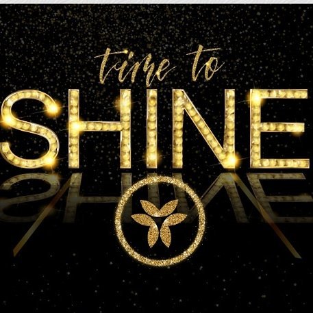 Time 2 Shine Cleaning Services Logo