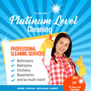 Platinum Level Cleaning