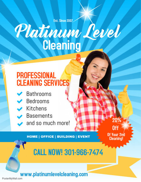 Platinum Level Cleaning