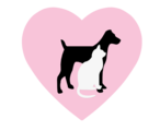 Tender Love & Pet Care, LLC