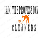 I Ayala Minnick The Professional Cleaners