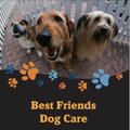 Best Friends Dog Care