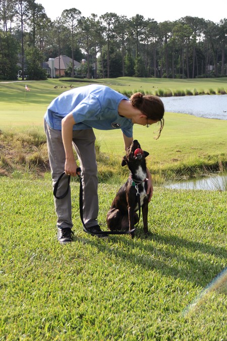 Sunshine State Dog Training