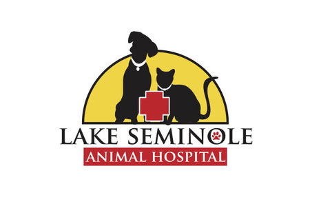 Lake Seminole Animal Hospital